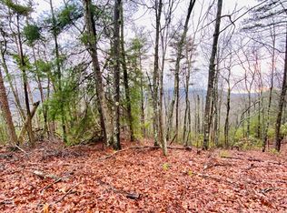 Morganton Camp Rd, Blue Ridge, GA 30513