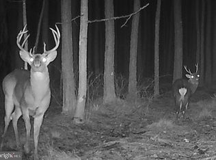 7 Muddy Hole Rd, Tyaskin, MD 21865