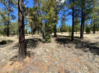 2870 COYOTE Ridge #54, Happy Jack, AZ 86024