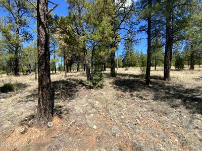 2870 COYOTE Ridge #54, Happy Jack, AZ, 86024