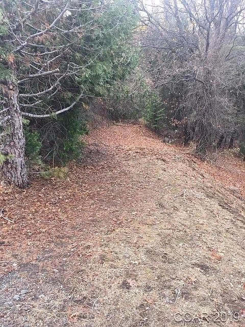 5008 Wylderidge Dr photo 1