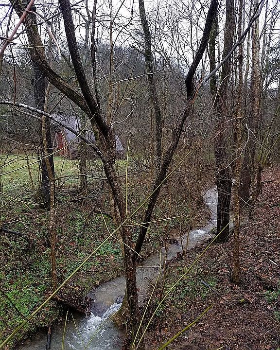 1st image of 19 Jaedynn Ln