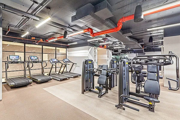 Rented by Living New York | media 14