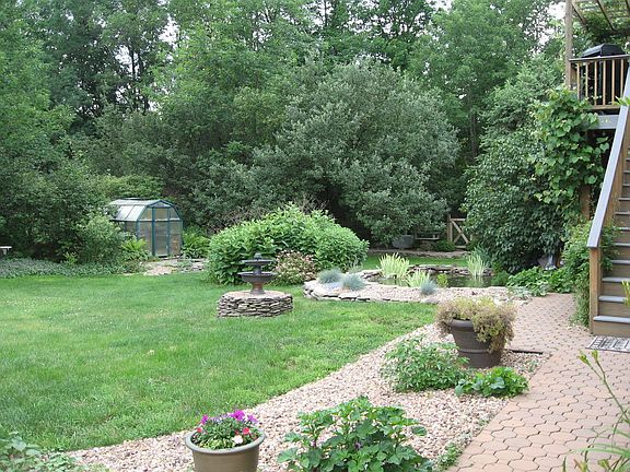 Back yard from driveway