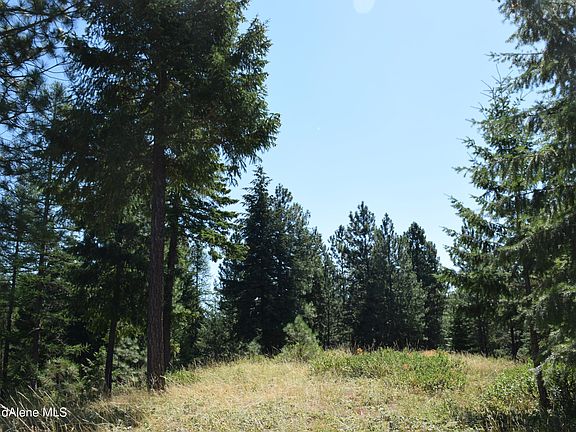 2nd image of 3 Chokecherry Dr