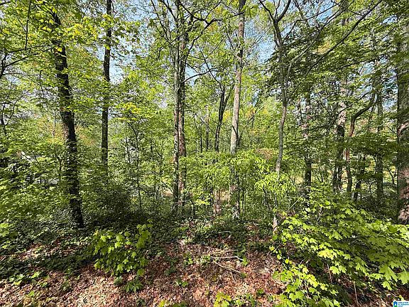 3rd image of 4 Dogwood Rd #4