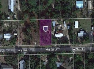5393 W Blade Ln, Dunnellon, FL 34433