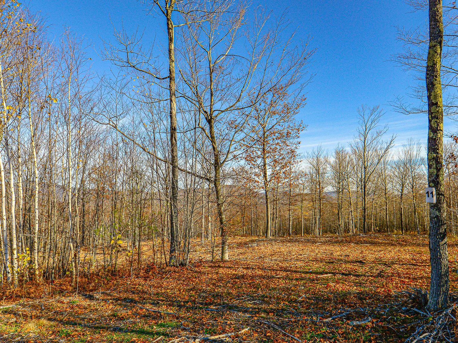 Lot 11 Mine Road, Stoneham, ME 04231 MLS 1546912 Zillow