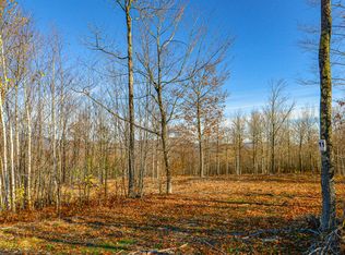 11 Mine Rd, Stoneham, ME 04231