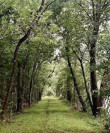 Walking path around the lake