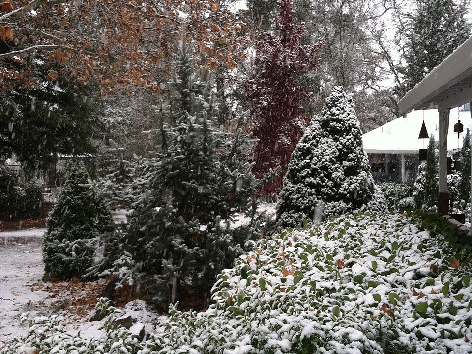 Main House in rare snow