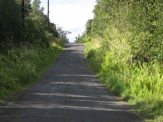 2nd image of Hibiscus St Lot 7622
