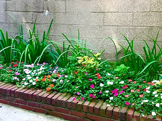 Rented by Corcoran | media 17