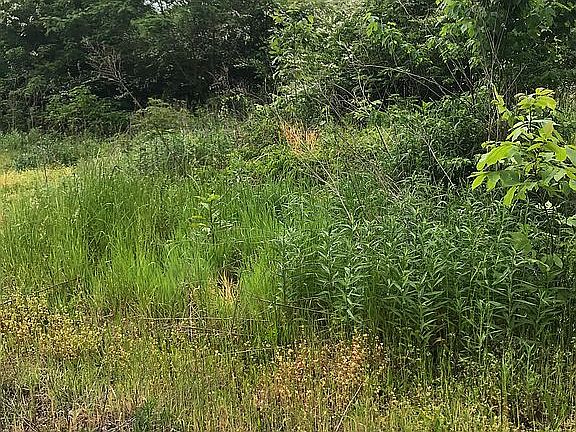 5th image of 382 Kelley Dr