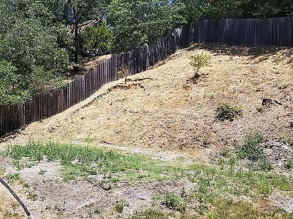 5th image of 555 Pine Ln