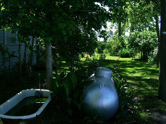 West side of the house