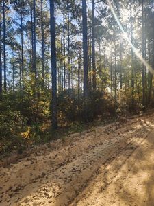 Fyf 1b Fox Young Rd #FYF-1B, Wagener, SC, 29164