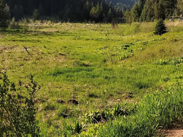 1896 Crooked River Rd, Elk City, ID 83525