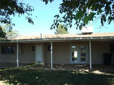 Back view