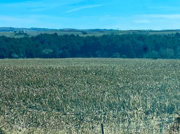 290th St, Geddes, SD 57342