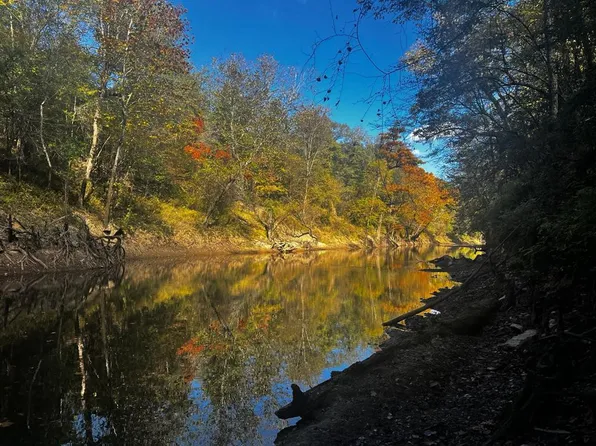 178 Palmer Hollinghead Rd, Waynesboro, MS 39367