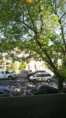 Rented by Tri Boro Terrace Realty | media 24