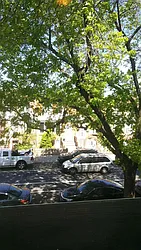 Rented by Tri Boro Terrace Realty