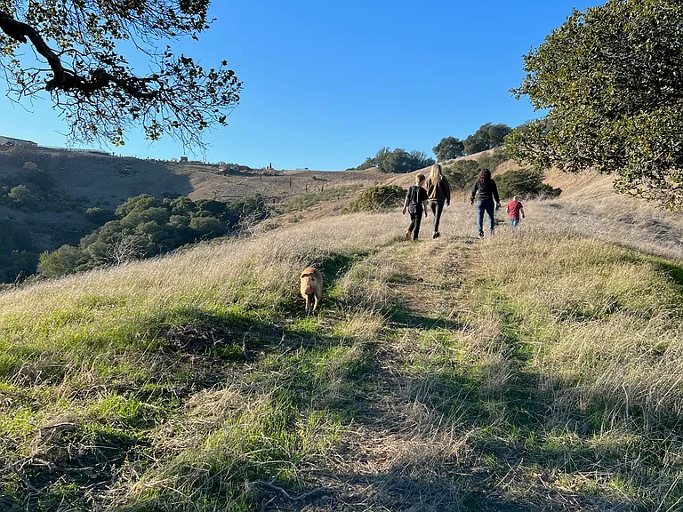 109 Rancho De La Rosa Rd — Photo 27