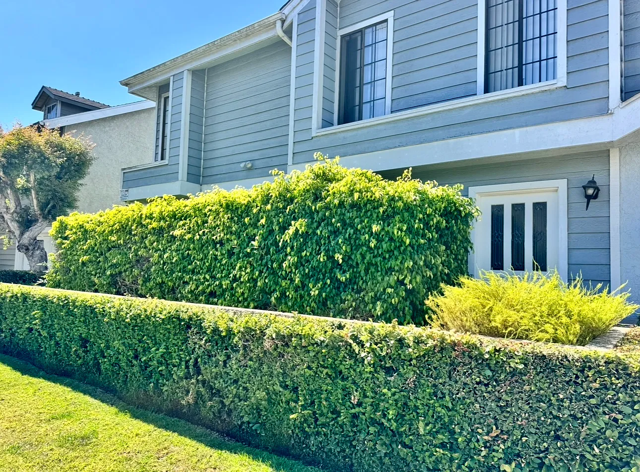 1 bed, 680 sqft, $1,795 — Photo 4