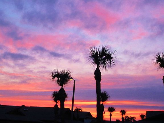 Enjoy the Fla. Sunsets!