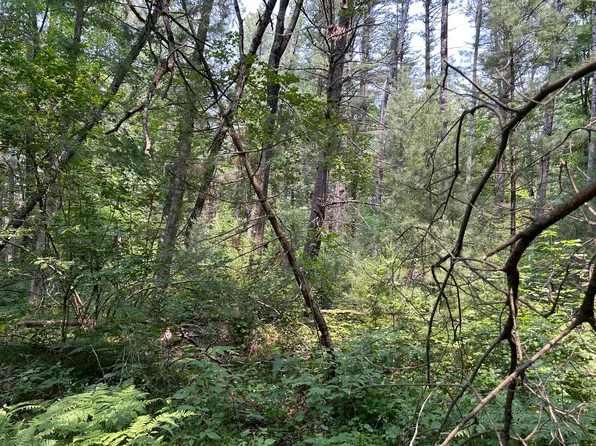 0 W Garfield Ave, Baldwin, MI 49304