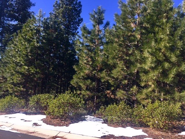 2nd image of 260 Fox Crest Dr