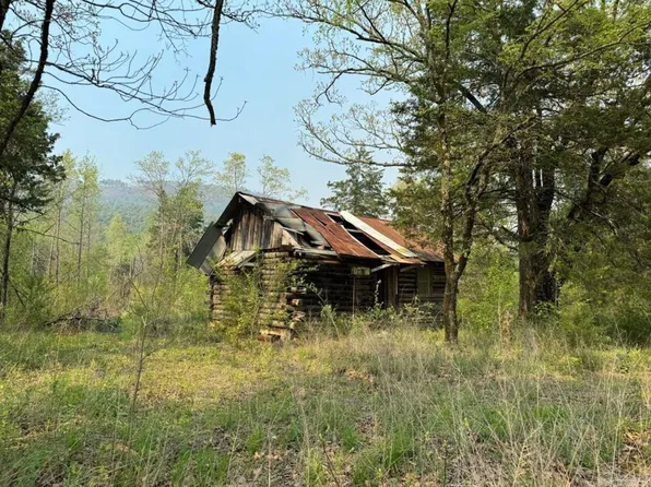 (undisclosed Address), Mena, AR 71953