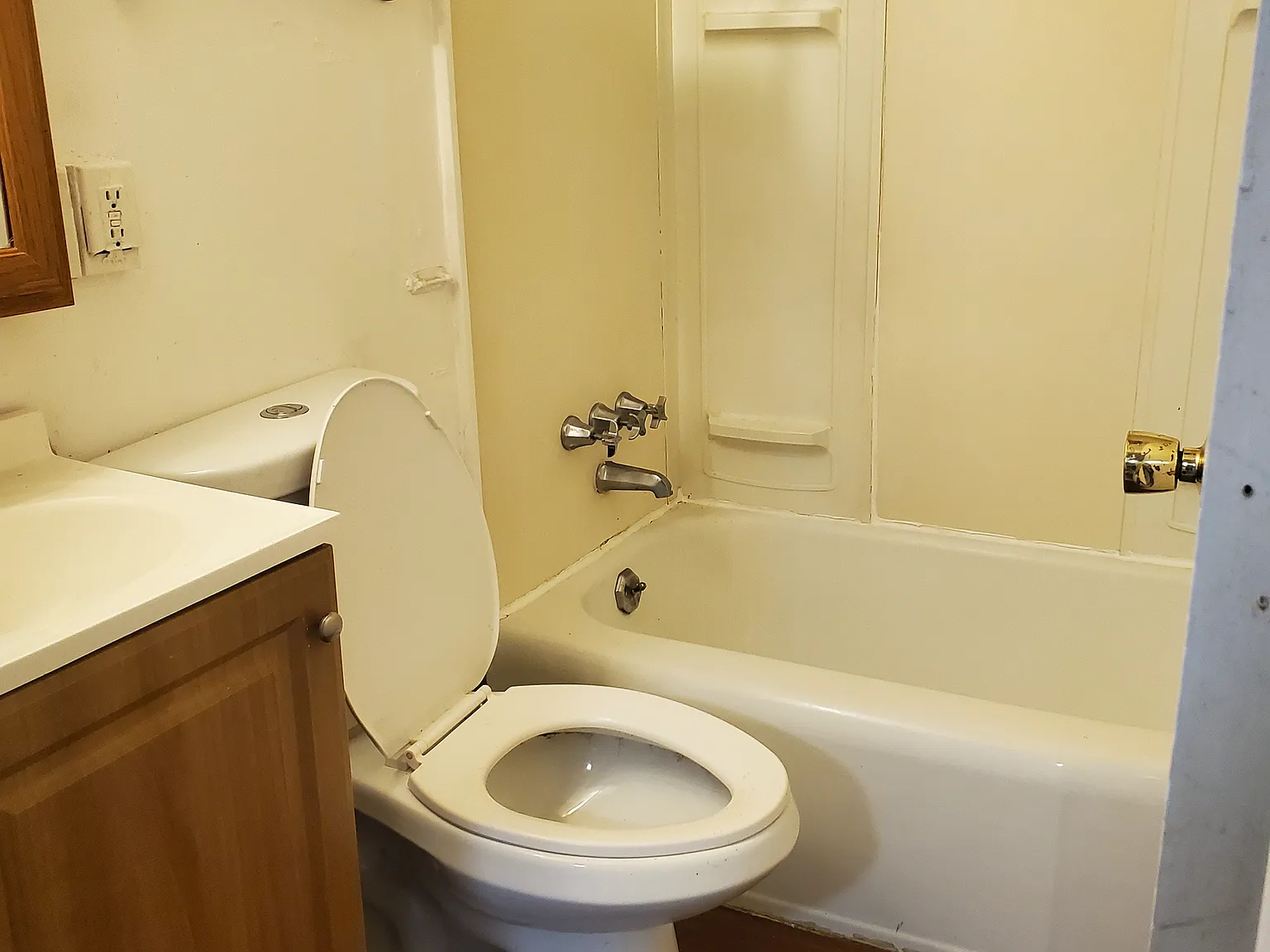 1 bed, $1,250 — Photo 3