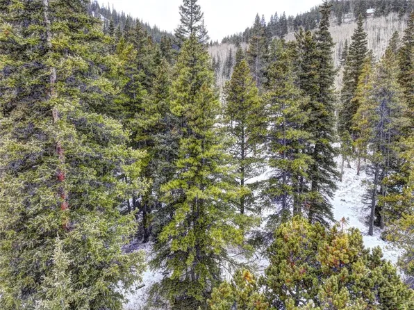 491 Mine Dump Road, Alma, CO 80420