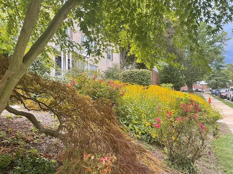 The Metropolitan Wynnewood — Photo 33