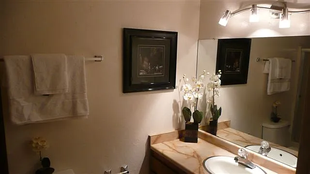 317 Spruce St #2 — Photo 7