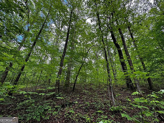 5th image of 0 Fisher Creek Rd