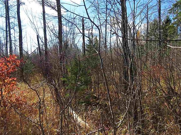 5th image of 36x Birch Dr