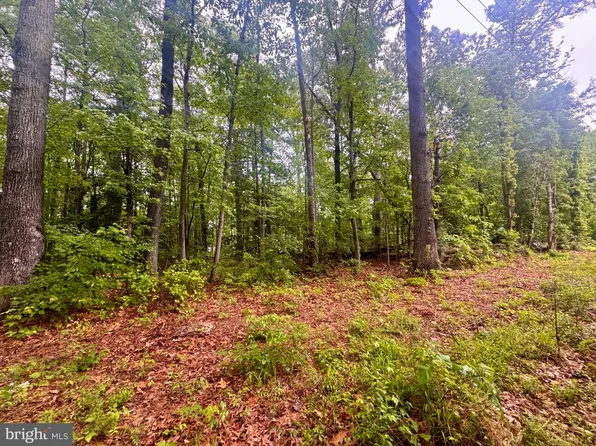 72-75 Henry Ln, Hague, VA 22469