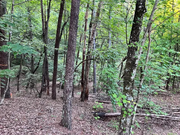 0 Hawks Ter, Lake Lure, NC 28746