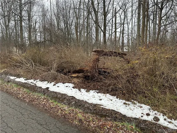 V/l Long Beach Ln Lot 2, Evans, NY 14006
