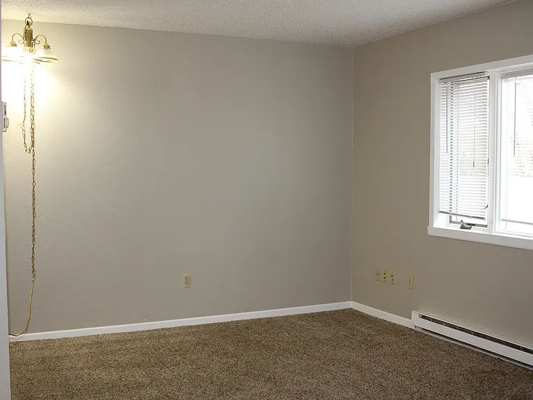 Apt 202 - 10_11192019