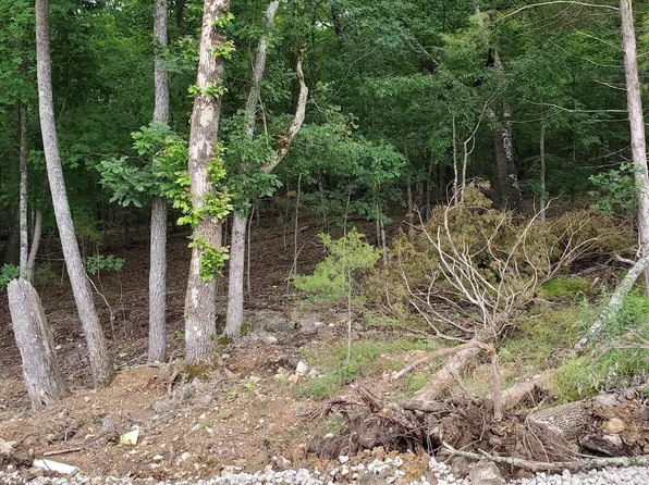 000 Lot 86 Summer Breeze, Kimberling City, MO 65686