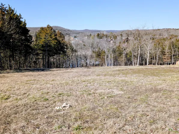 11 Tall Cedar Lane, Reeds Spring, MO 65737