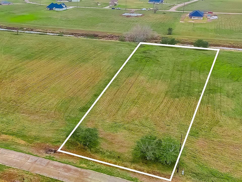 1st image of 354 Brahman Trl