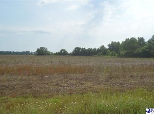 LOT 3 Hawk Dr, Hartsville, SC 29550
