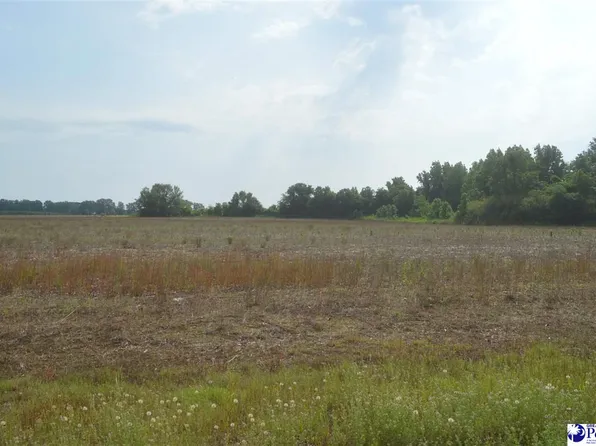 LOT 3 Hawk Dr, Hartsville, SC 29550