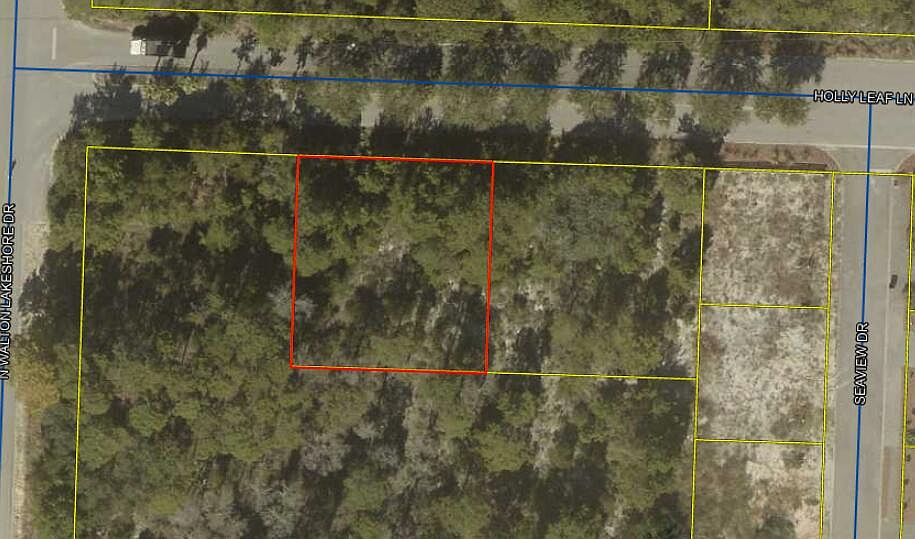 2nd image of Holly Leaf Ln