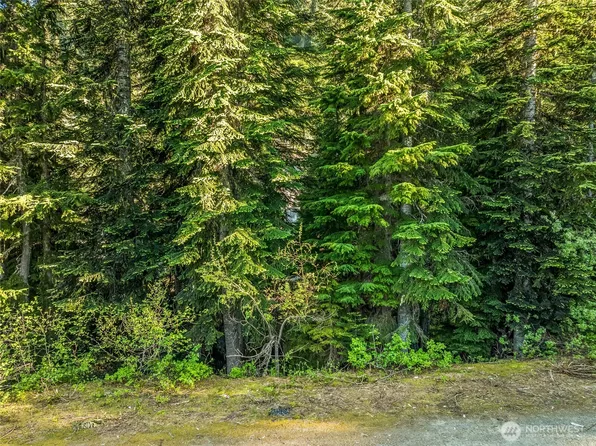 34393 S Nason Road, Leavenworth, WA 98826